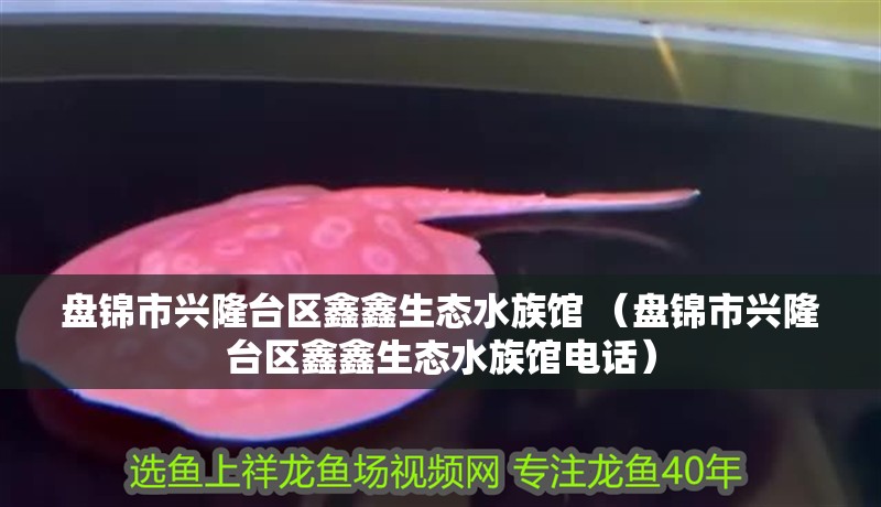 盤錦市興隆臺區(qū)鑫鑫生態(tài)水族館 （盤錦市興隆臺區(qū)鑫鑫生態(tài)水族館電話）