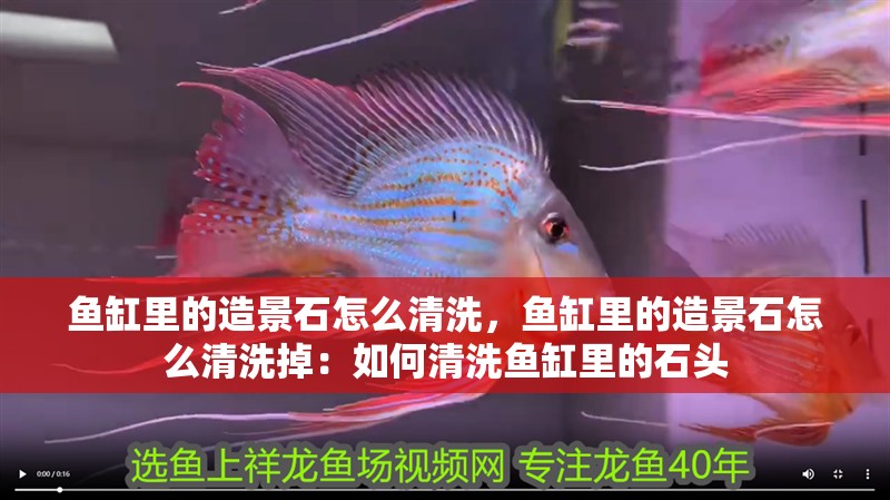 魚缸里的造景石怎么清洗，魚缸里的造景石怎么清洗掉：如何清洗魚缸里的石頭