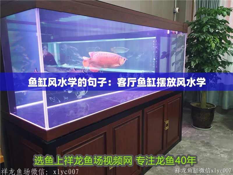 魚缸風(fēng)水學(xué)的句子：客廳魚缸擺放風(fēng)水學(xué)