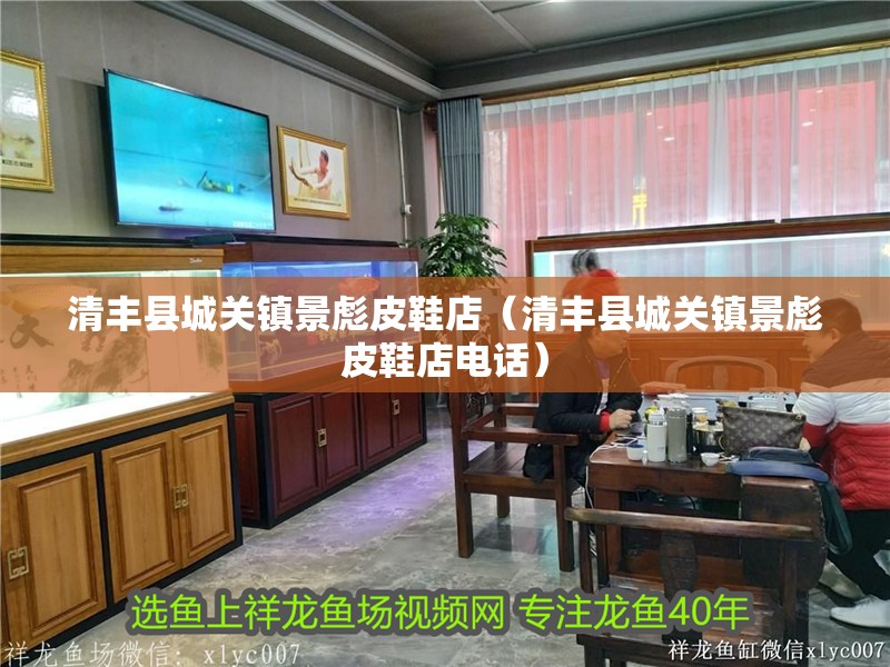 清豐縣城關鎮景彪皮鞋店（清豐縣城關鎮景彪皮鞋店電話）