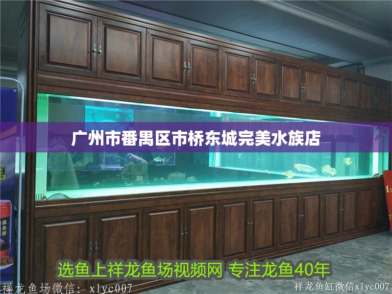 廣州市番禺區(qū)市橋東城完美水族店