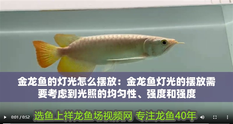 金龍魚的燈光怎么擺放：金龍魚燈光的擺放需要考慮到光照的均勻性、強度和強度