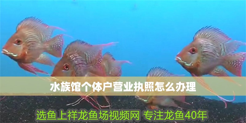 水族館個體戶營業執照怎么辦理