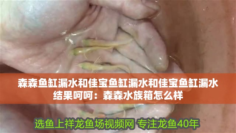 森森魚缸漏水和佳寶魚缸漏水和佳寶魚缸漏水結果呵呵：森森水族箱怎么樣