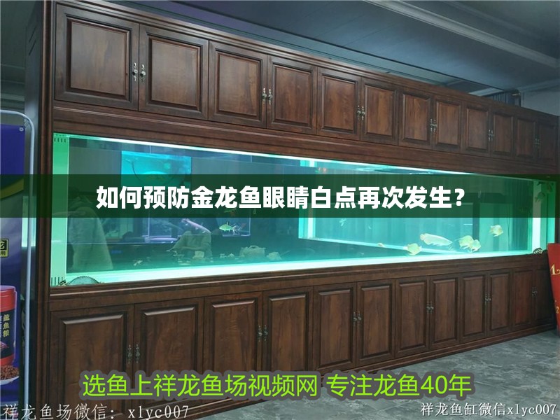 如何預防金龍魚眼睛白點再次發生？