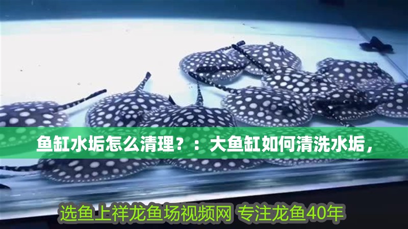 魚缸水垢怎么清理？：大魚缸如何清洗水垢， 魚缸水垢怎么清理？：大魚缸如何清洗水垢， 魚缸百科