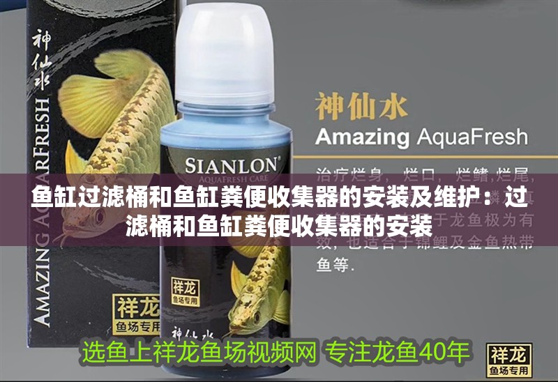 魚缸過濾桶和魚缸糞便收集器的安裝及維護：過濾桶和魚缸糞便收集器的安裝