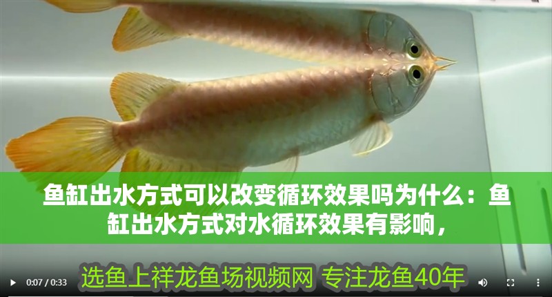 魚缸出水方式可以改變循環效果嗎為什么：魚缸出水方式對水循環效果有影響，