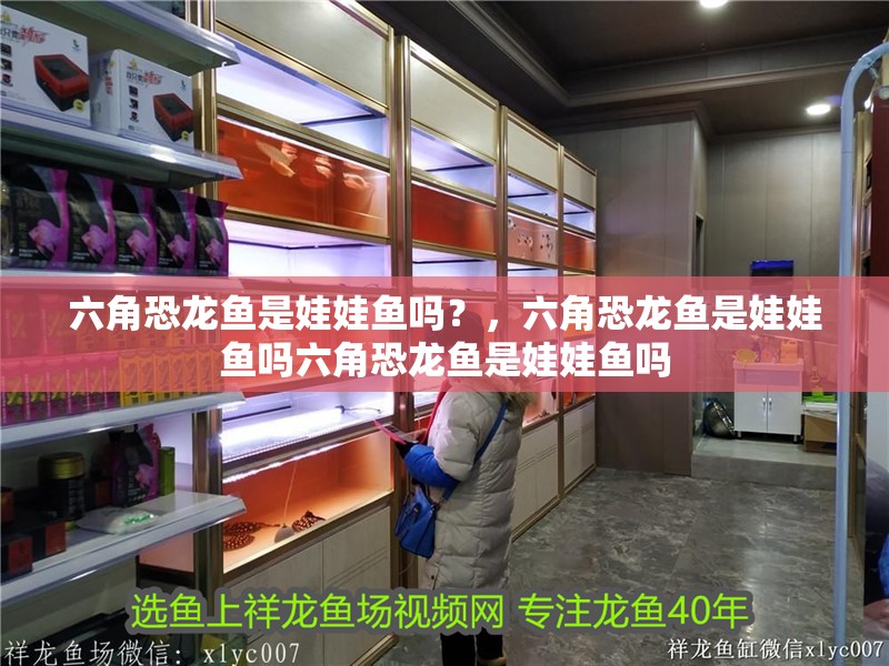 六角恐龍魚(yú)是娃娃魚(yú)嗎？，六角恐龍魚(yú)是娃娃魚(yú)嗎六角恐龍魚(yú)是娃娃魚(yú)嗎