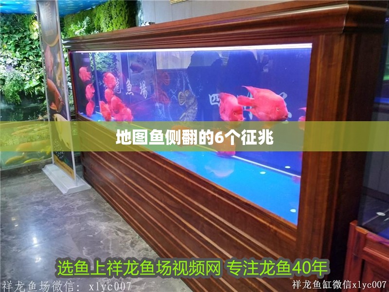 地圖魚側翻的6個征兆