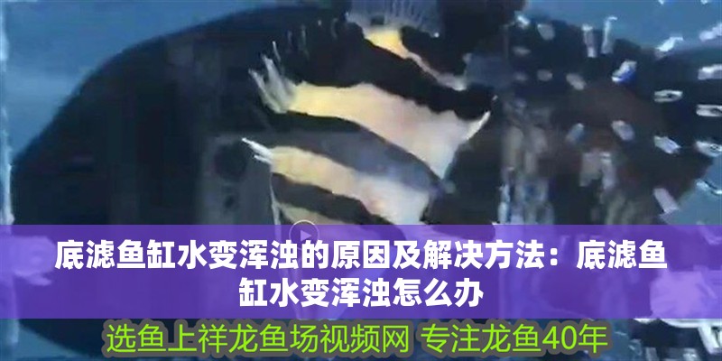 底濾魚缸水變渾濁的原因及解決方法：底濾魚缸水變渾濁怎么辦