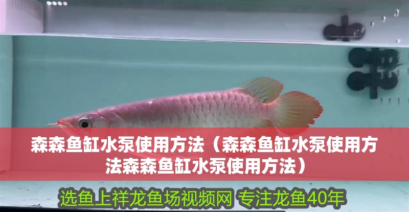 森森魚缸水泵使用方法（森森魚缸水泵使用方法森森魚缸水泵使用方法）