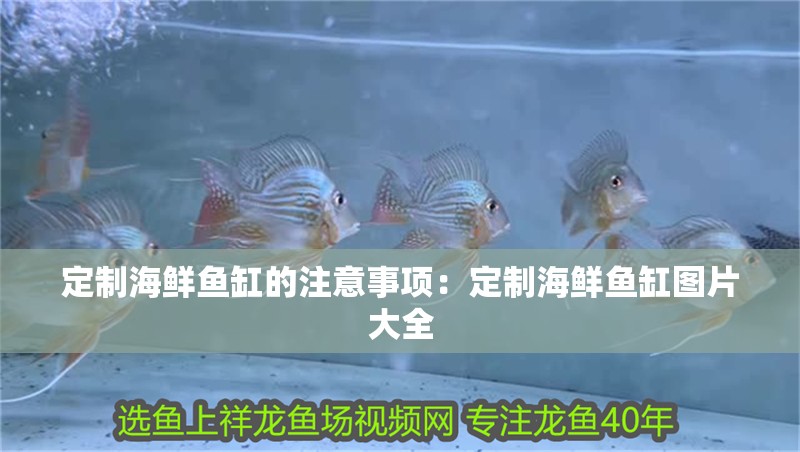 定制海鮮魚缸的注意事項(xiàng)：定制海鮮魚缸圖片大全