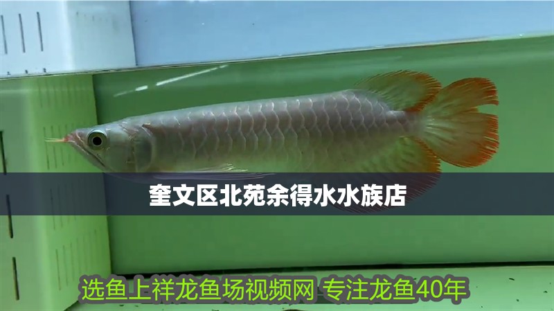 奎文區北苑余得水水族店 奎文區北苑余得水水族店 全國水族館企業名錄