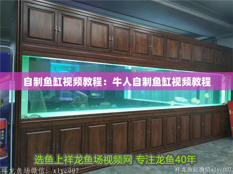 自制魚缸視頻教程：牛人自制魚缸視頻教程