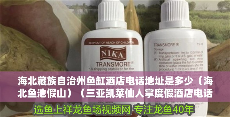 海北藏族自治州魚缸酒店電話地址是多少（海北魚池假山）（三亞凱萊仙人掌度假酒店電話地址是多少）