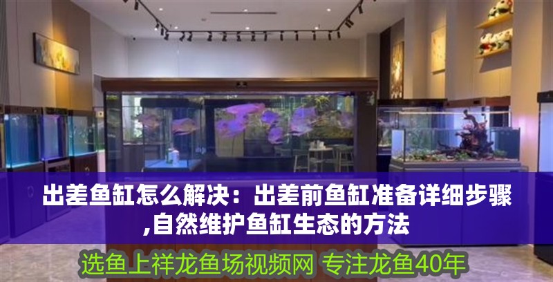 出差魚缸怎么解決：出差前魚缸準備詳細步驟,自然維護魚缸生態的方法