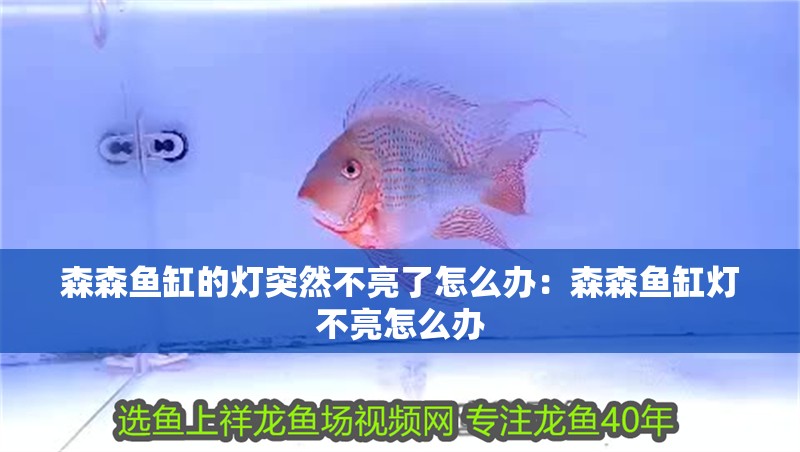 森森魚缸的燈突然不亮了怎么辦：森森魚缸燈不亮怎么辦 森森魚缸的燈突然不亮了怎么辦：森森魚缸燈不亮怎么辦 魚缸百科