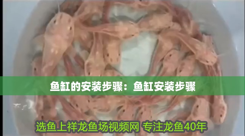 魚缸的安裝步驟：魚缸安裝步驟