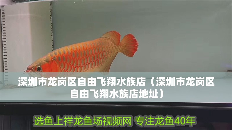 深圳市龍崗區自由飛翔水族店（深圳市龍崗區自由飛翔水族店地址）