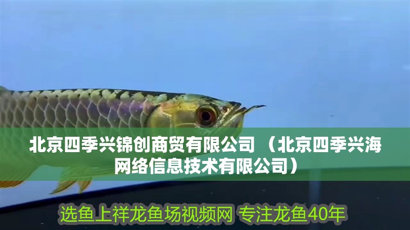 北京四季興錦創(chuàng)商貿(mào)有限公司 （北京四季興海網(wǎng)絡(luò)信息技術(shù)有限公司）