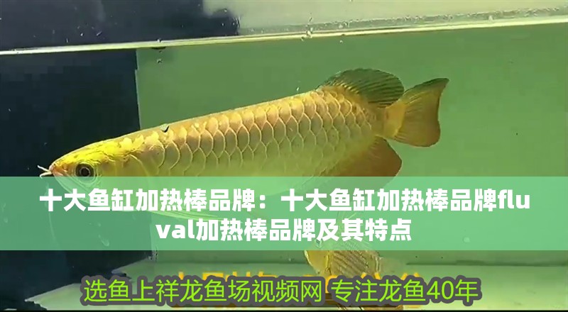十大魚缸加熱棒品牌：十大魚缸加熱棒品牌fluval加熱棒品牌及其特點