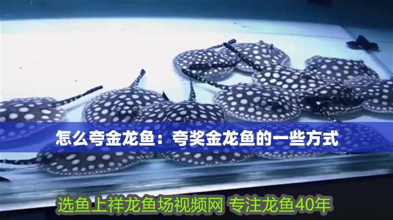 怎么夸金龍魚：夸獎金龍魚的一些方式