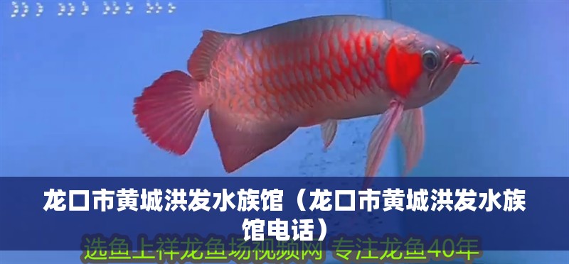 魚缸用增氧泵價格是多少:魚缸增氧機-xtrac增氧機-xtrac增氧機 龍口市黃城洪發水族館(龍口市黃城洪發水族館電話) 全國水族館企業名錄 龍口市黃城洪發水族館(龍口市黃城洪發水族館電話) 龍口市黃城洪發水族館(龍口市黃城洪發水族館電話) 全國水族館企業名錄