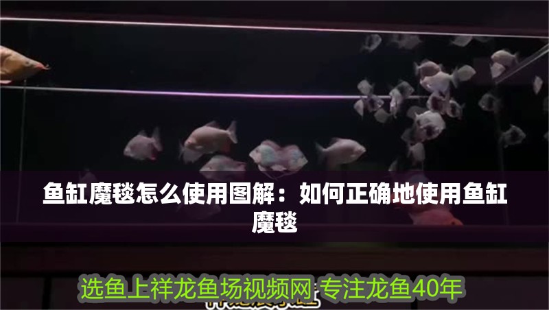 紅龍魚用黃燈烤有用嗎 魚缸魔毯怎么使用圖解:如何正確地使用魚缸魔毯 魚缸百科 魚缸魔毯怎么使用圖解:如何正確地使用魚缸魔毯 魚缸魔毯怎么使用圖解:如何正確地使用魚缸魔毯 魚缸百科