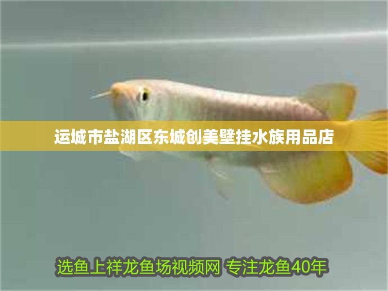 運城市鹽湖區東城創美壁掛水族用品店
