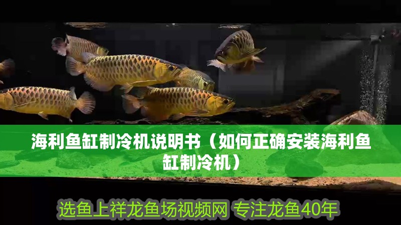 海利魚缸制冷機說明書（如何正確安裝海利魚缸制冷機）
