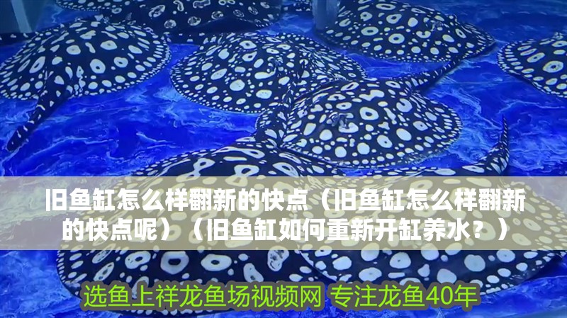 舊魚缸怎么樣翻新的快點（舊魚缸怎么樣翻新的快點呢）（舊魚缸如何重新開缸養水？）