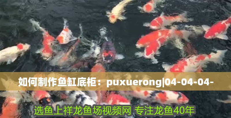 如何制作魚缸底柜：puxuerong|04-04-04-