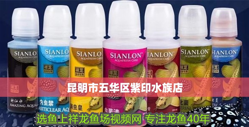 昆明市五華區紫印水族店