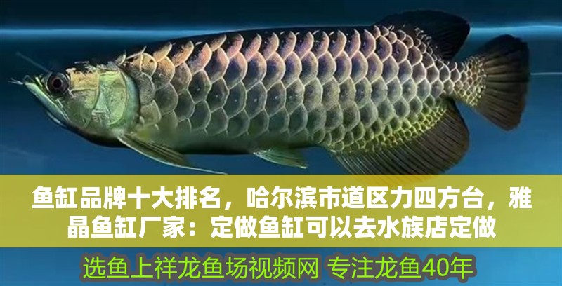 魚缸品牌十大排名，哈爾濱市道區(qū)力四方臺，雅晶魚缸廠家：定做魚缸可以去水族店定做