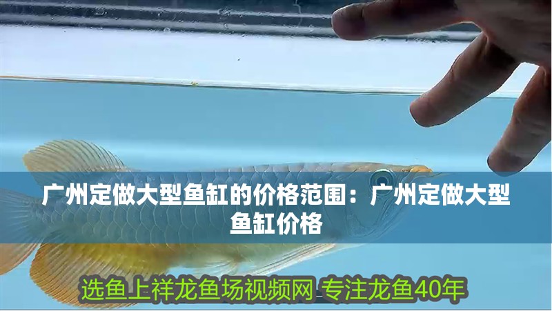 廣州定做大型魚缸的價格范圍：廣州定做大型魚缸價格