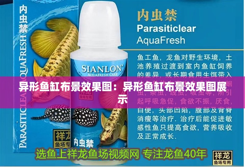 異形魚缸布景效果圖：異形魚缸布景效果圖展示