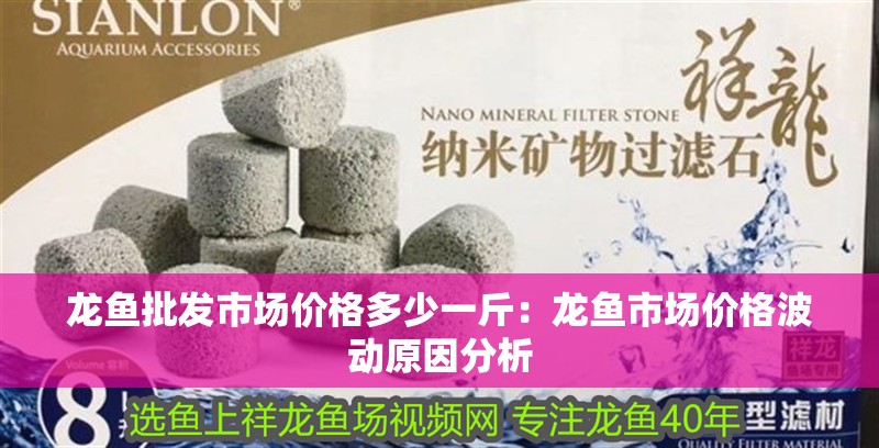 龍魚批發市場價格多少一斤：龍魚市場價格波動原因分析
