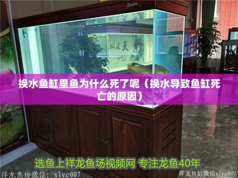 換水魚缸里魚為什么死了呢（換水導致魚缸死亡的原因）
