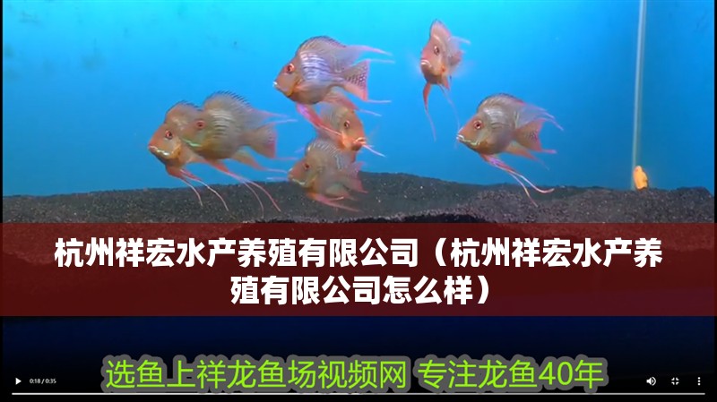 杭州祥宏水產養殖有限公司（杭州祥宏水產養殖有限公司怎么樣）
