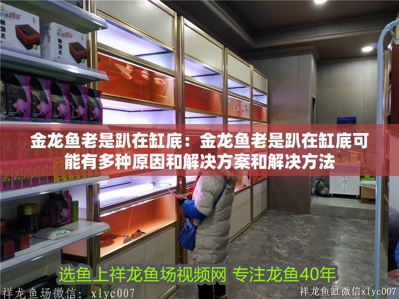 金龍魚老是趴在缸底：金龍魚老是趴在缸底可能有多種原因和解決方案和解決方法