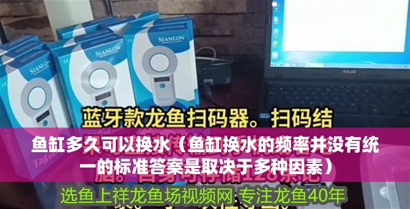 魚缸多久可以換水（魚缸換水的頻率并沒有統(tǒng)一的標(biāo)準(zhǔn)答案是取決于多種因素）