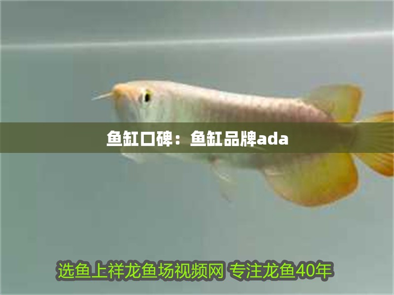 魚缸口碑：魚缸品牌ada