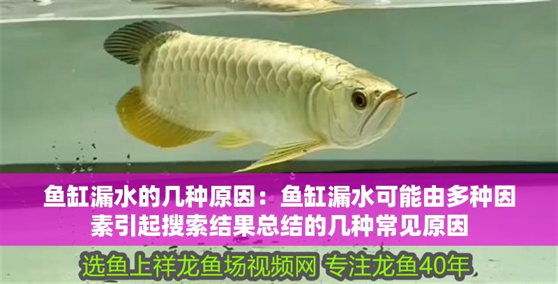 魚缸漏水的幾種原因：魚缸漏水可能由多種因素引起搜索結果總結的幾種常見原因 魚缸漏水的幾種原因：魚缸漏水可能由多種因素引起搜索結果總結的幾種常見原因 魚缸百科