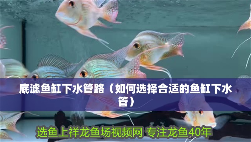 底濾魚缸下水管路（如何選擇合適的魚缸下水管）