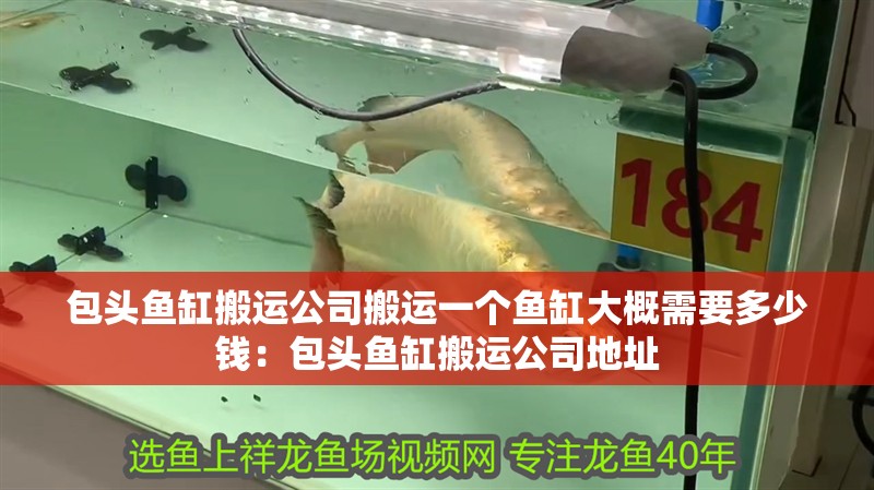 包頭魚缸搬運公司搬運一個魚缸大概需要多少錢：包頭魚缸搬運公司地址