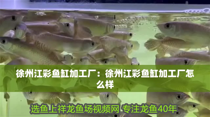 徐州江彩魚缸加工廠：徐州江彩魚缸加工廠怎么樣