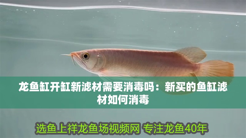龍魚缸開缸新濾材需要消毒嗎：新買的魚缸濾材如何消毒