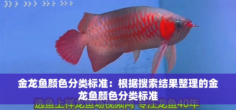 金龍魚顏色分類標準：根據搜索結果整理的金龍魚顏色分類標準