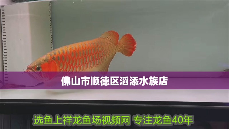 佛山市順德區滔添水族店